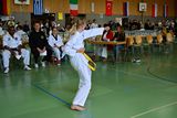 German_Open _Giebelstadt_2014_32.jpg